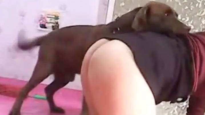 被草的巨乳乱晃