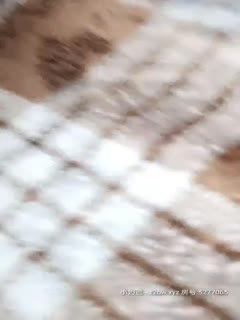 476 2:59HD【究极反差嫩妹】宅男女神，金主母狗，白嫩福利姬醋溜 (7)