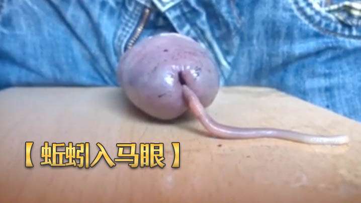 【国产精品】桥本香菜长腿人妻出轨的报复用肉体报复老公出轨行为 [41:01]