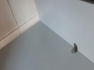 情趣酒店玩具调教 极品骚货被爆操内射到失禁