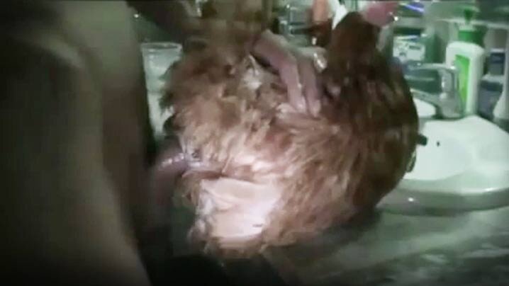 「男生超讓我害怕，讓我想保護她到不行。」雖然經驗少，但性知識卻比誰都豐富 其實她很想和男生做愛【妄想怪獸】H罩杯洛莉塔制服美少女 天宮鈴 AV出道 EBWH240