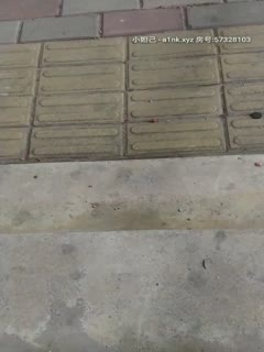 ADN008 あなたに爱されたくて冬月かえで