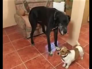 颜值爆表高端外围极品嫩模七日包夜淫叫高潮不断！