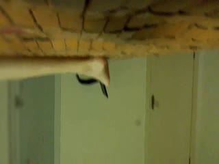 DVAJ606 在我妻子睡觉的隔壁房间里