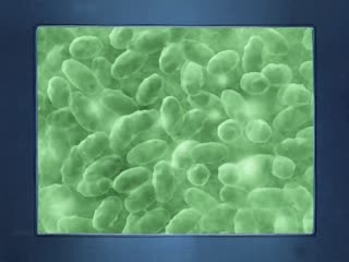 台湾顶级福利姬 紀奈奈 大尺度cos写真火辣曝光 从可爱美女转型霸气女王 极致身材完美诠释！