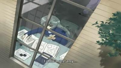 超级毛茸茸的猫